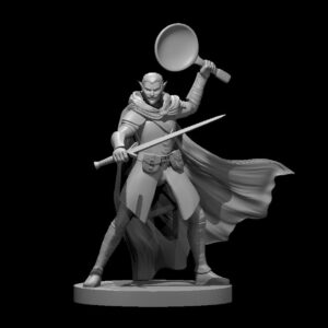 Elf Male Two Sword Ranger with a frying pan