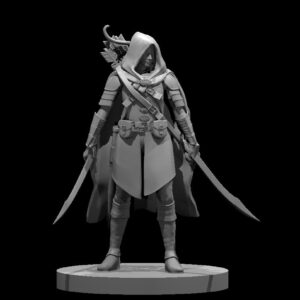 Elf Non Binary Ranger with Two swords