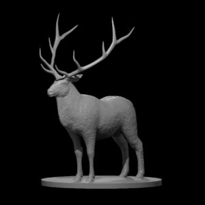 Elk