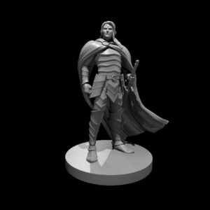 Elven Male Paladin