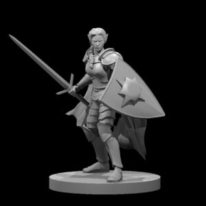 Female Elf Light Paladin with Sword and Kite Shield