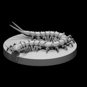 Giant Centipede