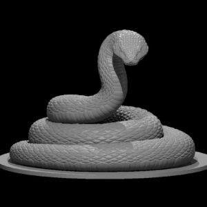 Giant Constrictor Snake coiled