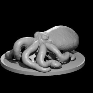 Giant Octopus