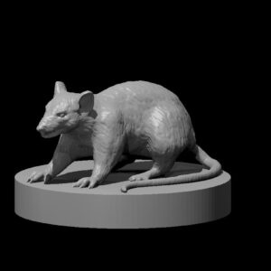 Giant Rat