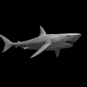 Giant Shark