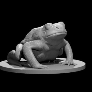 Giant Toad