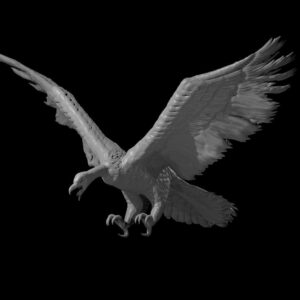 Giant Vulture