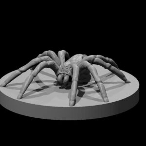 Giant Wolf Spider