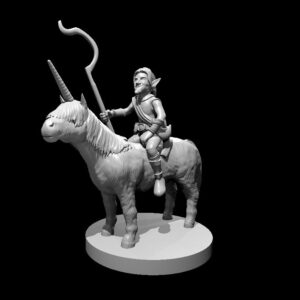 Gnome Male Druid on Pocket Unicorn