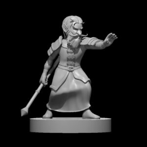 Gnome Male Sorcerer