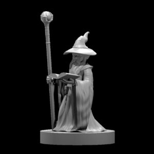 Gnome Male Wizard 2
