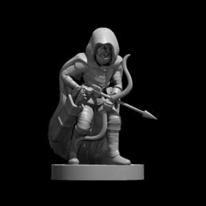 Gnome Ranger