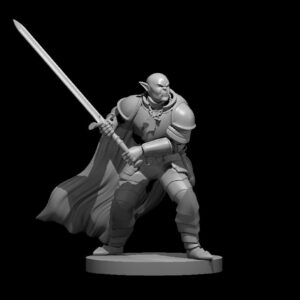 Half Orc Paladin