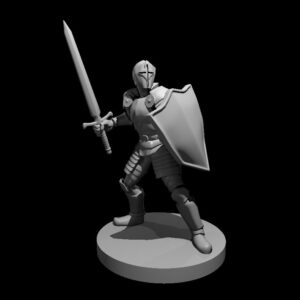 Helmed Male Paladin