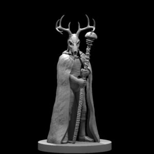 Human Male Druid 5 Circle of Spores