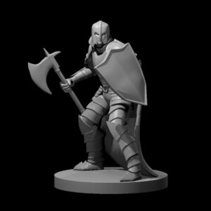 Human Male Fighter Axe and Shield