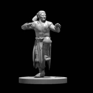 Human Male Monk 3