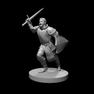 Human Male Paladin Charging