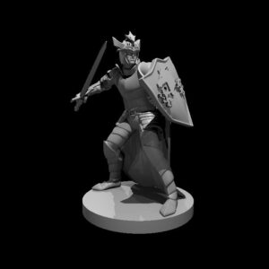 Human Male Paladin of Bahamut
