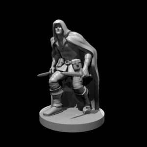 Human Male Rogue 5