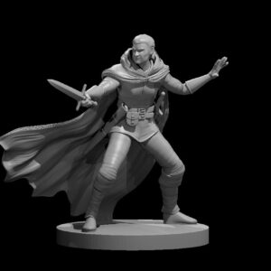 Human Male Rogue 6