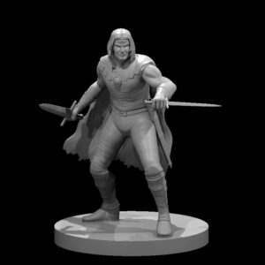 Human Male Rogue 8