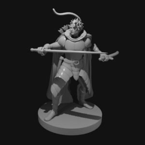 Human Two Sword Ranger