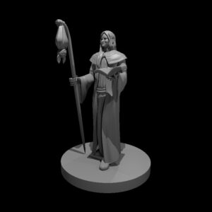 Human Wizard with Bat Familiar