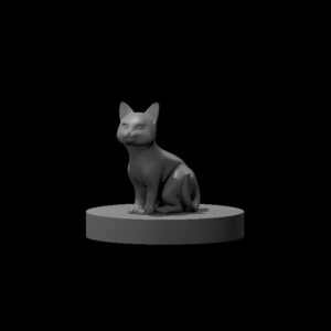 Kitten