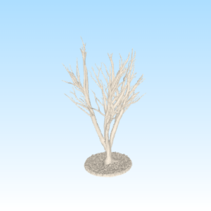 Trees, land and stones (FDM)