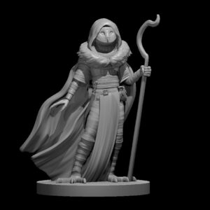 Owlfolk Male Druid