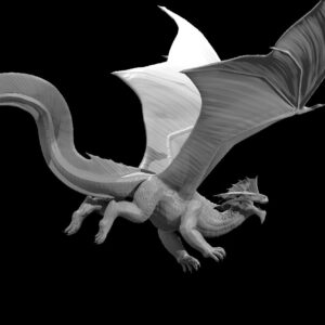 Silver Dragon Adult