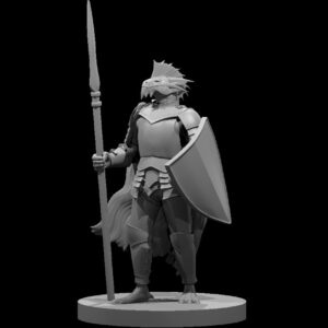 Silver Dragonborn Male Paladin w spear n shield