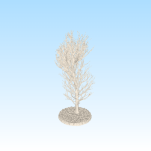 Tree_A