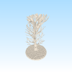 Tree_B