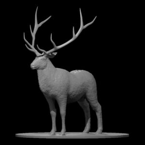 Giant Elk